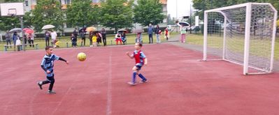 20250528_170822.jpg