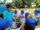 IMG-20250715-WA0057.jpg