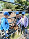 IMG-20250807-WA0039.jpg