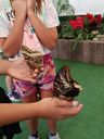 IMG-20250828-WA0016.jpg