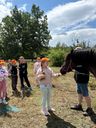 IMG-20260709-WA0043.jpg