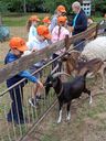 IMG-20260709-WA0098.jpg