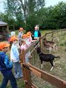IMG-20260709-WA0101.jpg