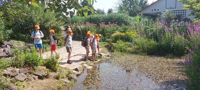 20260806_130558.jpg