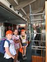 IMG-20260811-WA0003.jpg