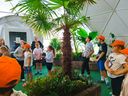 IMG-20260827-WA0011.jpg